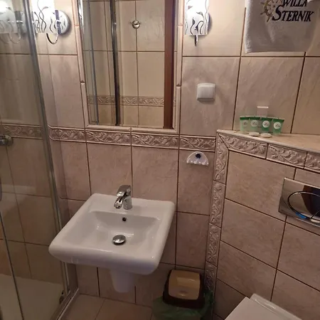 Sternik