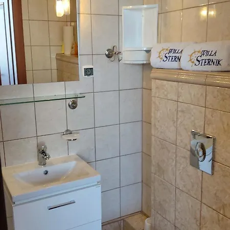 Sternik *